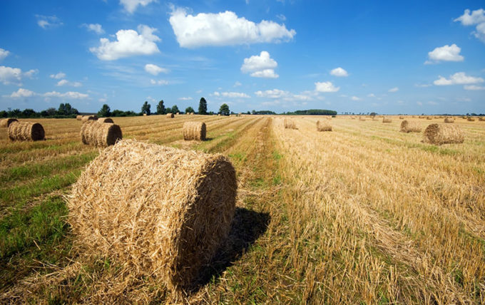 Une élection chasse l’autre : élection des membres à la chambre d’agriculture ile de France