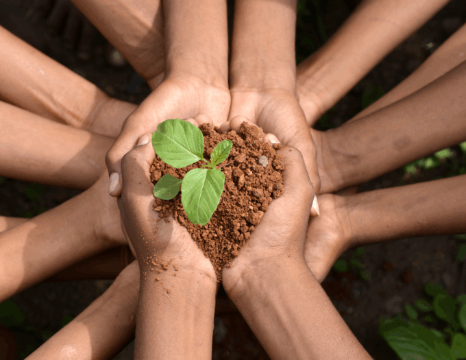 Environnement
