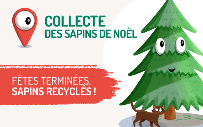 Collecte de Sapins