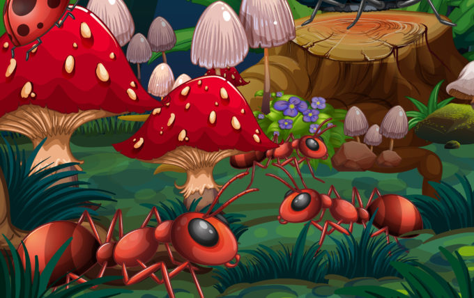 Fantastiques petites pattes