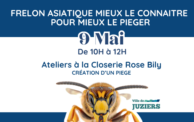 Frelon asiatique, atelier de sensibilisation et de piégeage