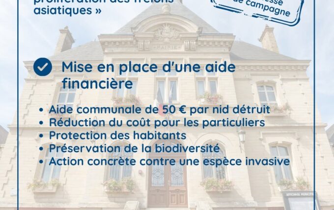 Frelon asiatique, la commune met en place une aide financière